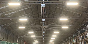 Warehouse Lighting Surveys & Solutions