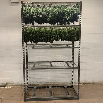 24" x 48" x 84" Cannabis Drying Rack