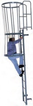 18’ Standard Fixed Steel Ladder w/ Cage