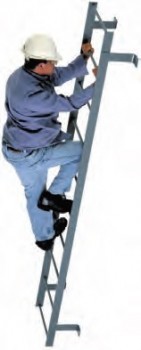 15' Walk-Thru Fixed Steel Ladder w/o Cage